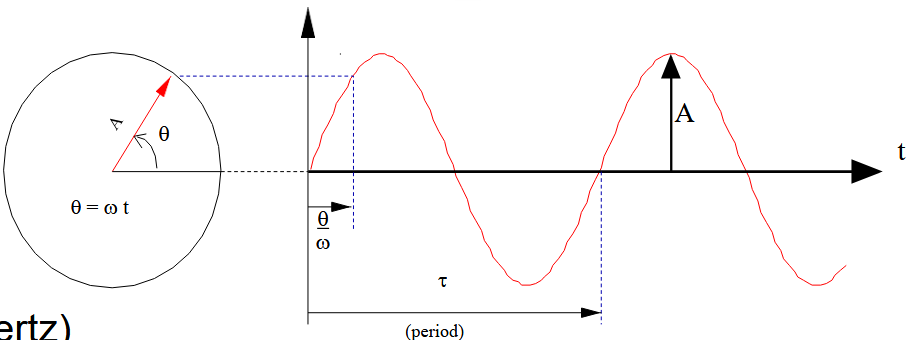 sinusoids